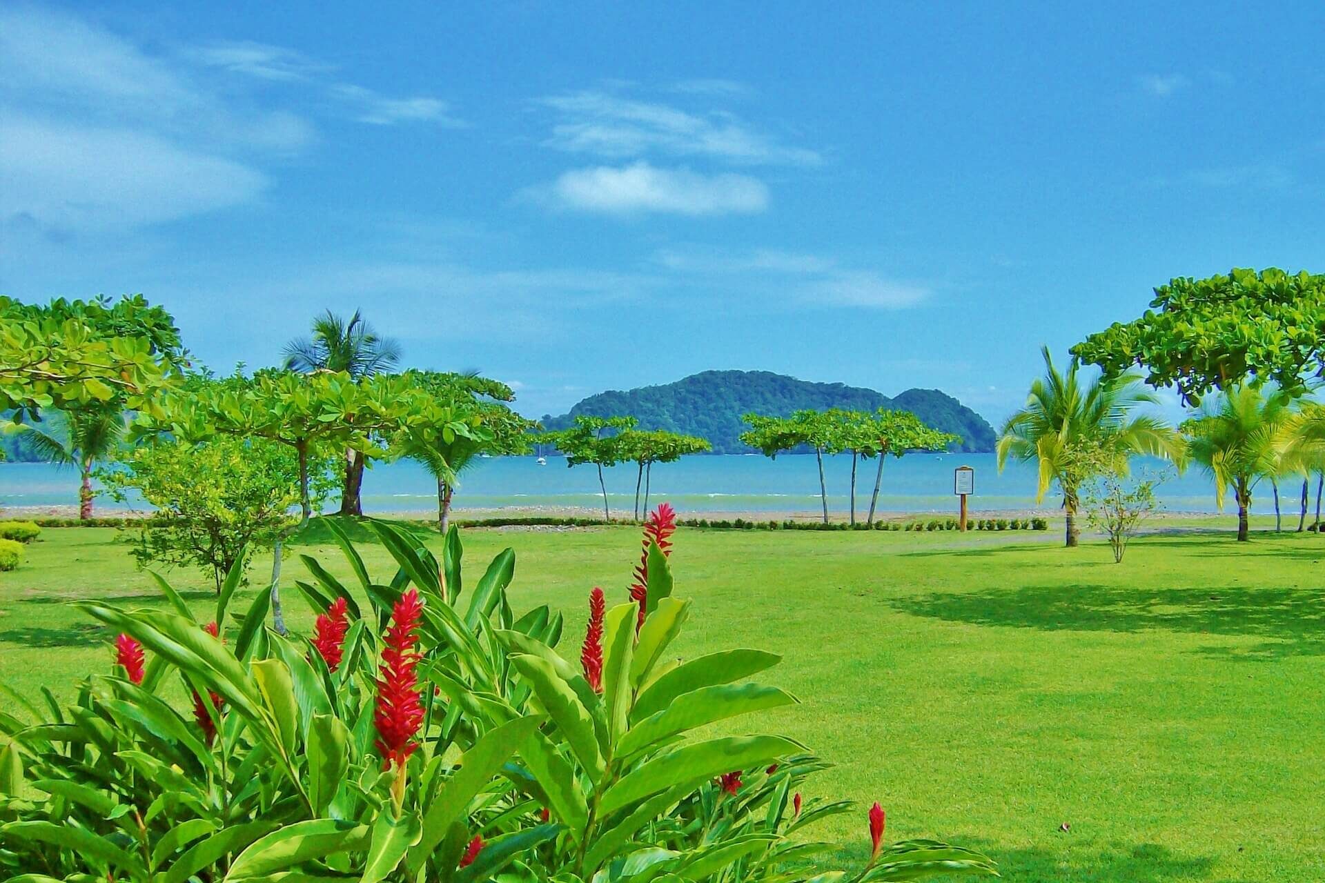 a green lawn with trees and a body of water