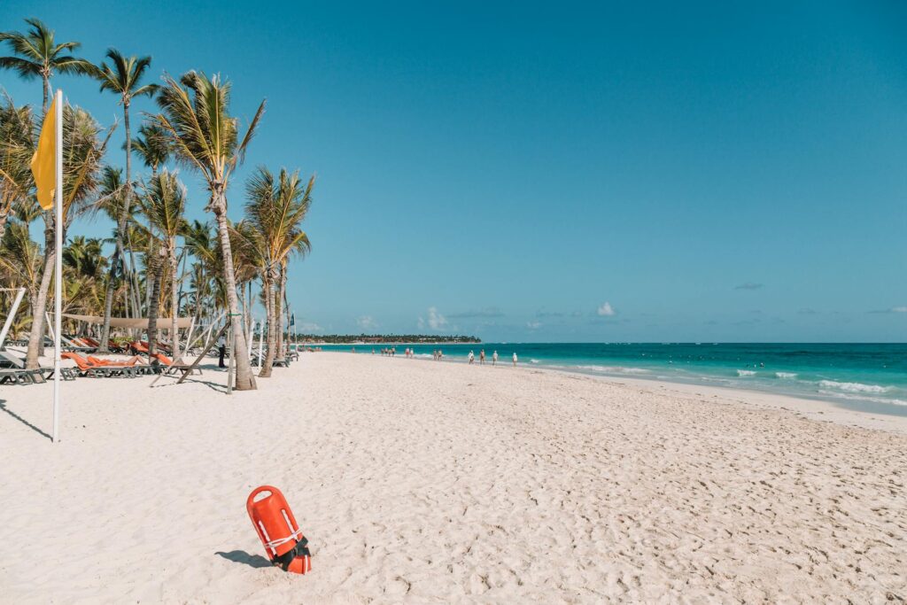 a beach with palm trees and a life preserver