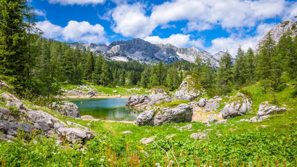 a lake surrounded by rocks and trees